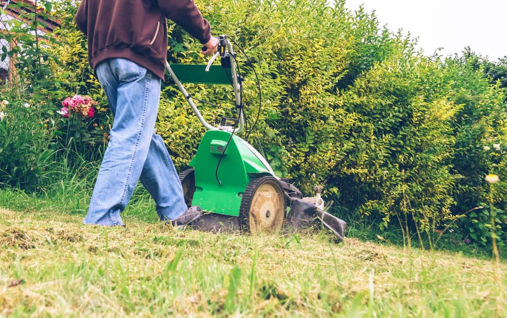 Lawn Care Servicesimg