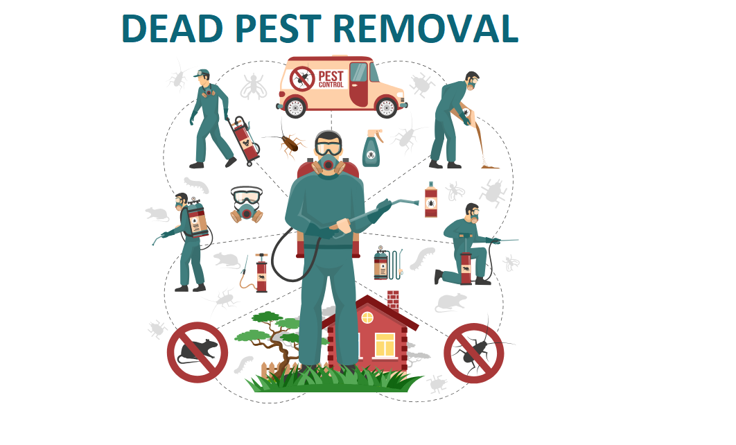 Dead pest removal 
